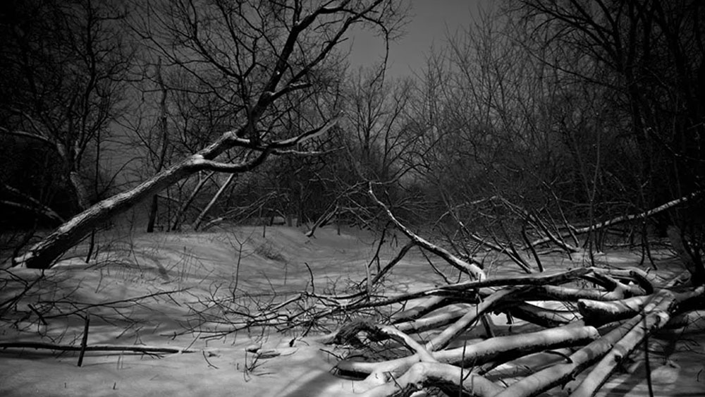 প্রশাসনের নজর কাড়ার জন্য এই অঞ্চলকে নিয়ে একটি উপন্যাস লিখতে শুরু করেন কাল্ট। উপন্যাসের নাম দেন ‘দ্য পারফেক্ট ক্রাইম’।