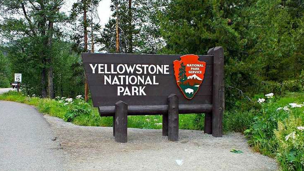 ২০০৫ সালে সেটি প্রকাশিত হয়। কাল্টের আশঙ্কা ছিল তাঁর উপন্যাস পড়ার পর বিচারব্যবস্থার এই ফাঁককে কাজে লাগিয়ে অনেকেই অপরাধ করার জন্য এই অঞ্চলকে বেছে নিতে পারেন।