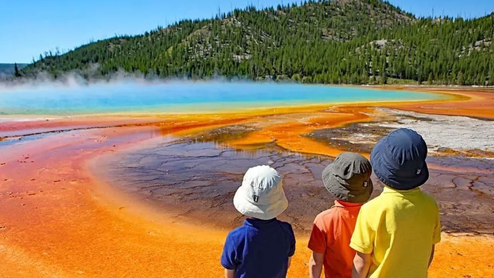 ওই উপন্যাস প্রকাশিত হওয়ার পর কাল্ট ভেবেছিলেন প্রশাসন নড়েচড়ে বসবে। আইনের এই ফাঁক ভরাট করা হবে। কিন্তু বাস্তবে তার কিছুই হয়নি।