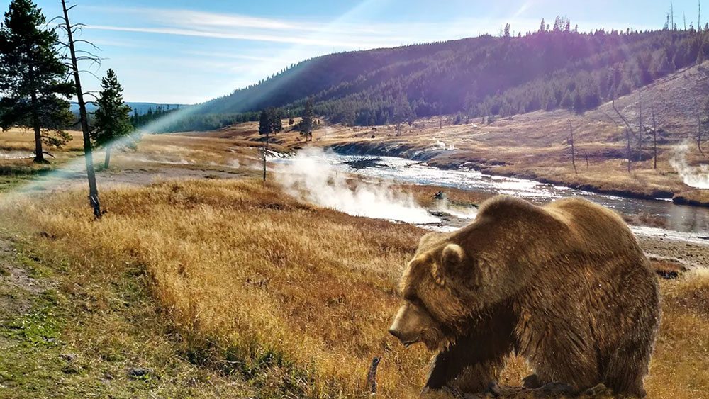 ২০০৭ সালে এই অঞ্চল নিয়ে আরও উপন্যাস প্রকাশিত হয়। লেখক সি জে বক্স সেটি লিখেছিলেন। নাম দেন ‘ফ্রি ফায়ার’। প্রশাসনের নজর কাড়তে সফল হয় এই উপন্যাসটি। উইমিংয়ের সেনেটর মাইক এনজি এই ফাঁক বন্ধ করতে সচেষ্টও হয়েছিলেন। কিন্তু তেমন কিছুই করতে পারেননি তিনিও।