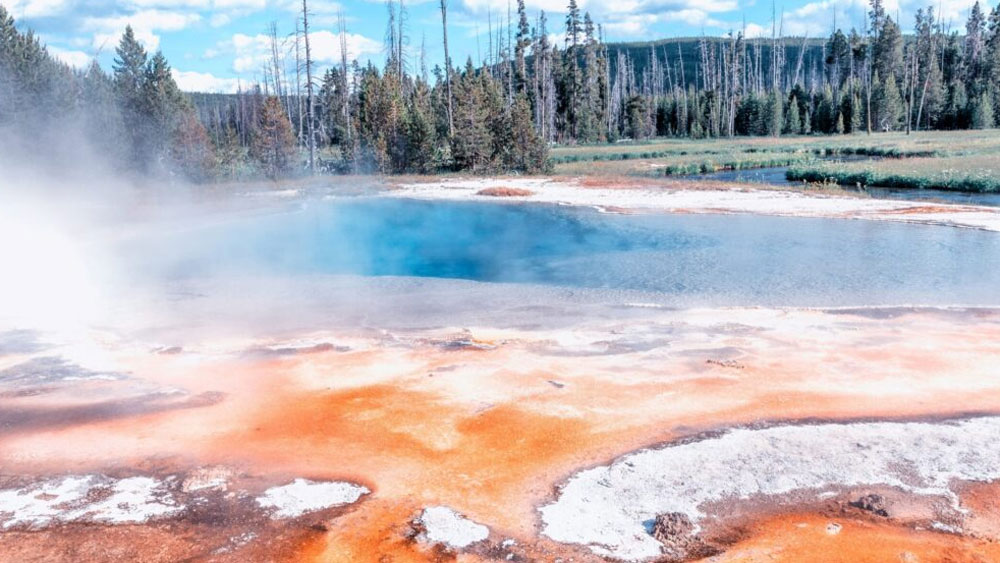 তবে আইনের ফাঁকফোকর সামনে আসার পরও তেমন কোনও অপরাধ ঘটেনি এই অঞ্চলে। ২০০৭ সালে বক্সের উপন্যাস প্রকাশিত হওয়ার পর এক চোরাশিকারি জেনেবুঝেই এখানে ইক প্রকাজির একটি হরিণ শিকার করেন।