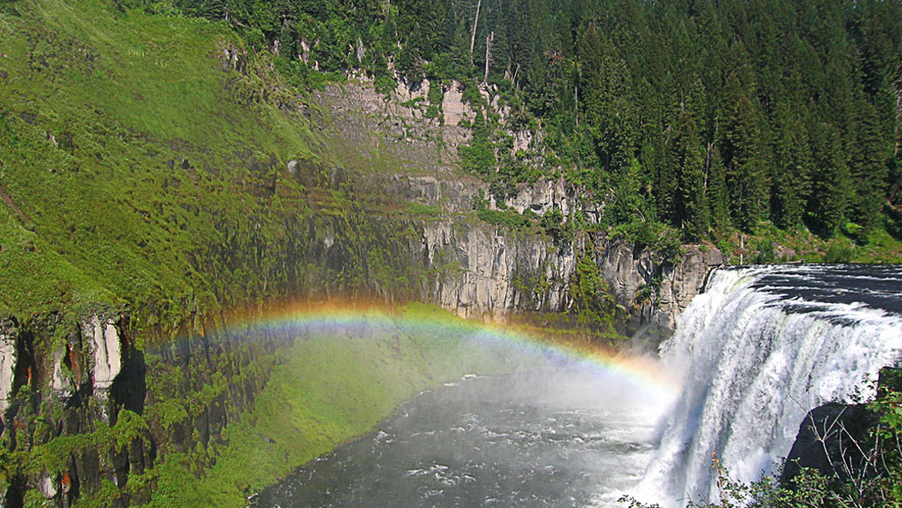 এই মামলার শুনানি চলে উইমিং জেলা আদালতে। কিন্তু আইন অনুযায়ী তা হওয়ার কথা ছিল না। এর পর অভিযুক্ত শিকারি লেখক কাল্টের উপন্যাসের প্রসঙ্গ তুলে ধরে এর বিরোধিতা করেন। যদিও তাতে কাজ হয়নি। বিচারকেরা তাঁর যুক্তিকে গুরুত্ব দেননি। তবে জামিন পেতে তাঁর কোনও অসুবিধা হয়নি।