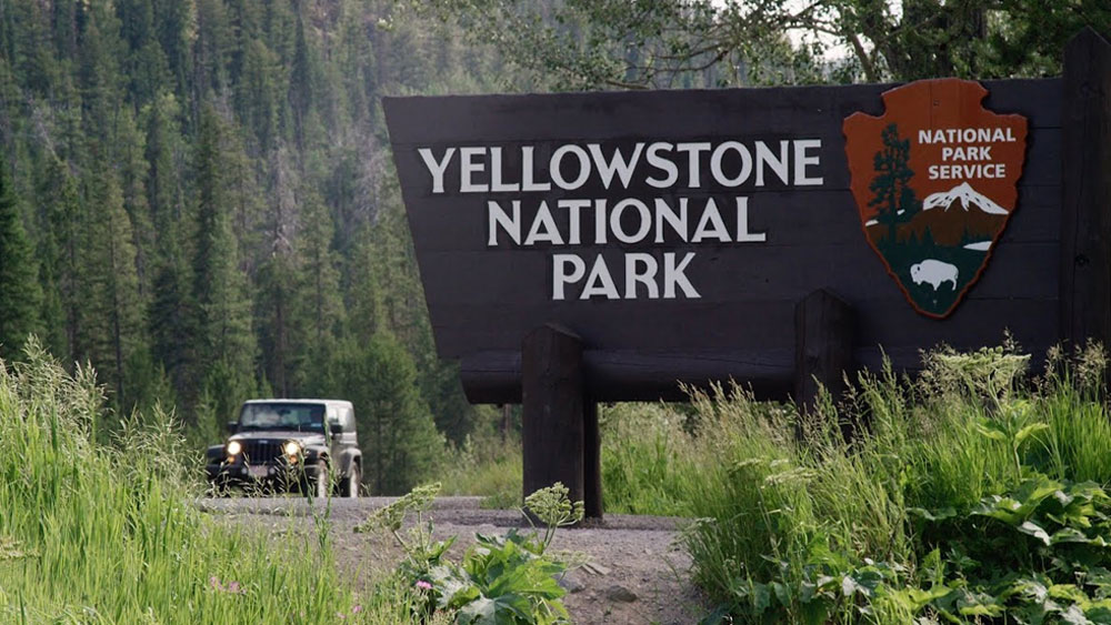 সেই আইনের ফাঁক আজও একই ভাবে থেকে গিয়েছে। তবে এই ফাঁক কাজে লাগিয়ে নিরন্তর অপরাধের কথা সামনে আসে না।