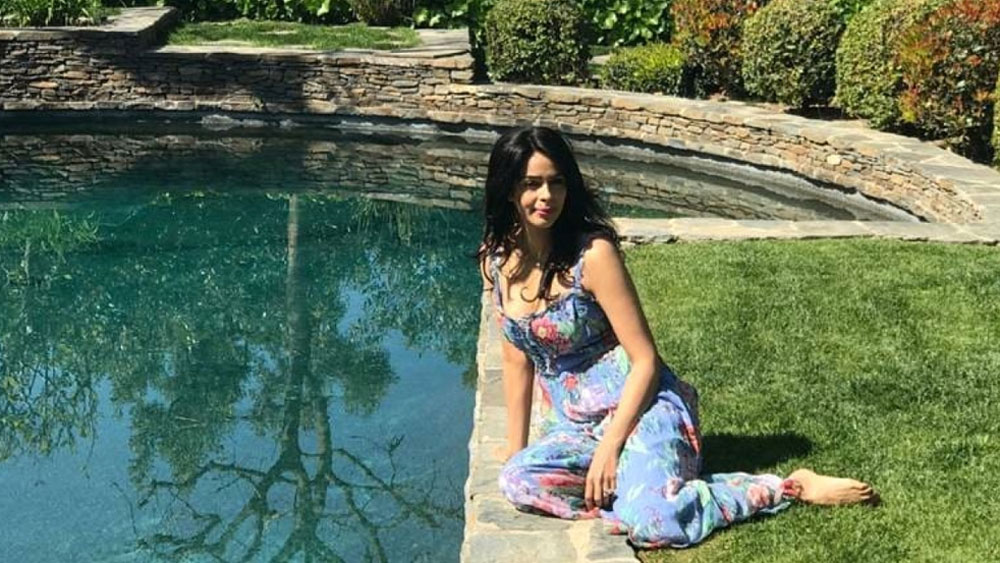 সে কারণেই নিজের জীবনের বাকি সময় আমেরিকা এবং ভারতের মধ্যে ভাগ করে নিতে চান।