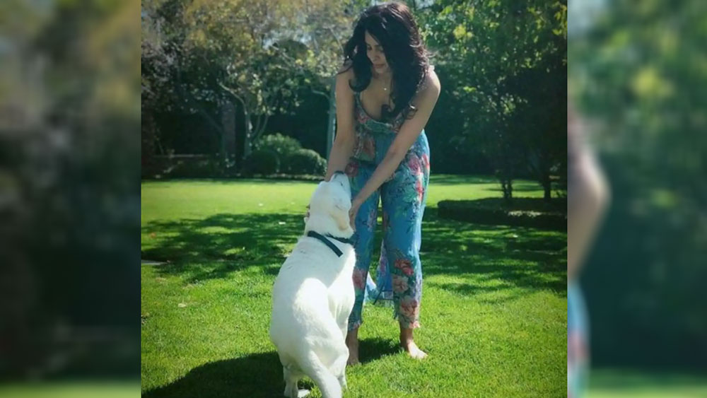 সম্প্রতি নিজের ইনস্টাগ্রামে নতুন বাড়ির বেশ কিছু ছবি অনুরাগীদের সঙ্গে ভাগ করে নিয়েছেন তিনি।