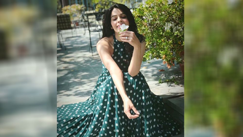 মল্লিকার লস অ্যাঞ্জেলসের এই বাড়ি একতলা। টালির মতো নক্সা করা ছাদ। রং ধূসর।