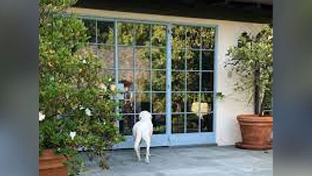 বাড়ির সামনে দেওয়াল জুড়ে রয়েছে কাচের জানলা। বাইরে অনেকটা জায়গা জুড়ে রয়েছে বাগান। ঘরে বসেই কাচের জানলা দিয়ে বাগানের শোভা উপভোগ করার পুরোপুরি ব্যবস্থা করে রেখেছেন।