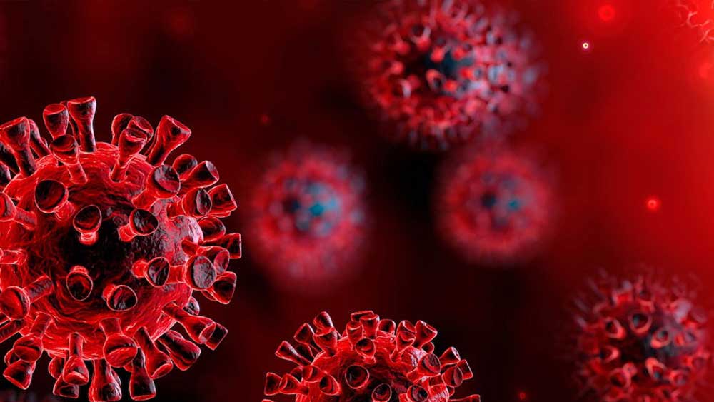 Districts are in fear for increasing number of COVID infection 