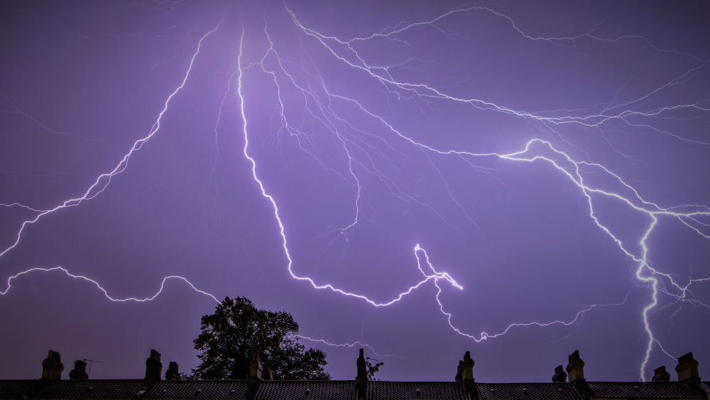 বিদ্যুৎস্পৃষ্ট হতে পারে, এমন যে কোনও জিনিস থেকে দূরে থাকা প্রয়োজন।
