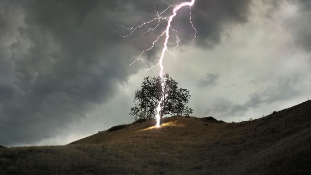 বাজ পড়া কালীন সময়ে কখনই ফাঁকা মাঠে থাকবেন না। 