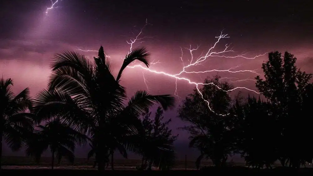 বেশি উচ্চতার জায়গায় বাজ পড়ার সম্ভাবনা বেশি থাকে। তাই এই সময় উচুঁ কাঠামো, পোলের কাছে না থাকাই শ্রেয়।