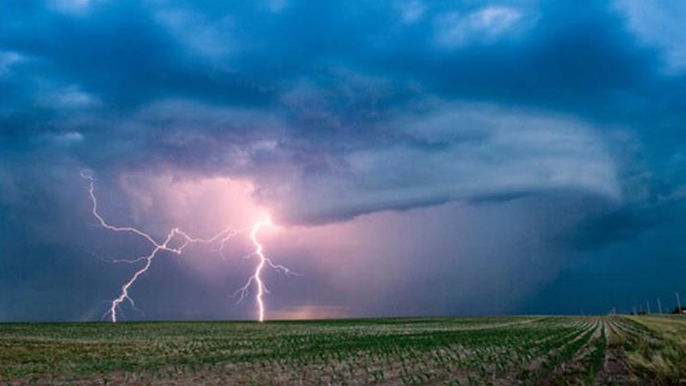 বজ্রপাতের সময় গাছের তলায় আশ্রয় নেবেন না।