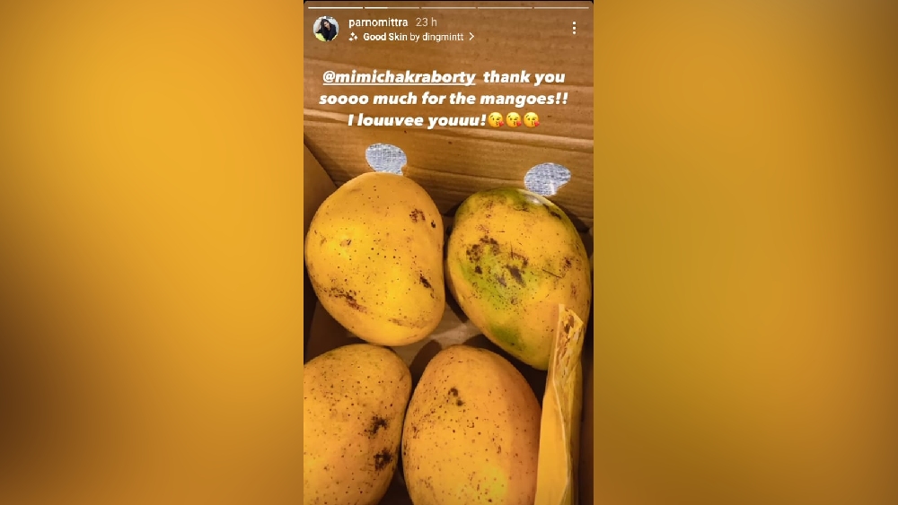 পার্নোর ইনস্টাগ্রাম স্টোরি।