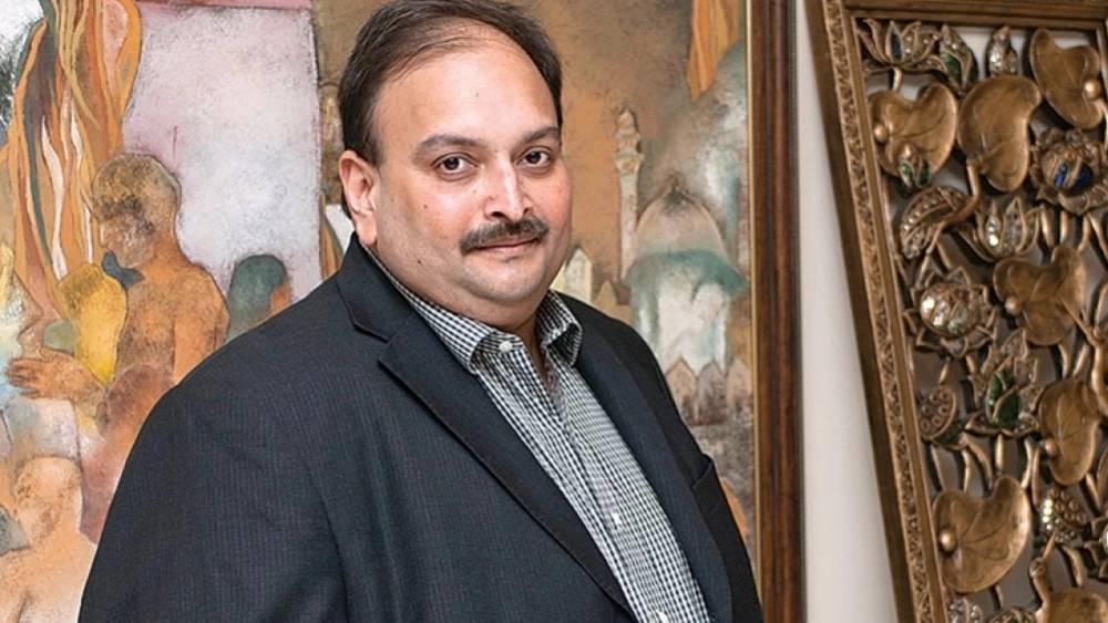 ওই সংবাদ সংস্থাকে ফোনে বারবারা এ কথাও জানান যে মেহুলই তাঁকে নানা ভাবে ঘনিষ্ঠতার প্রস্তাব দিয়েছিলেন। এমনকি নানারকম সুবিধা পাইয়ে দেওয়ার কথাও বলেছিলেন। বারবারা তাতে সাড়া দেননি। তিনি ওই বন্ধুত্বকে কাজের স্তরেই রাখতে চেয়েছিলেন।