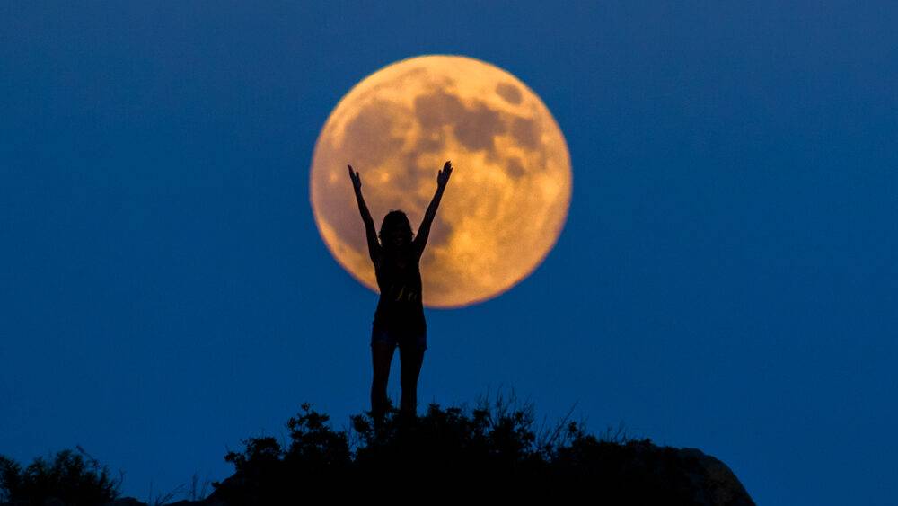 আমেরিকার পূর্ব উপকূলে নেভাদায় লুনার এমব্যাসির মূল কার্যালয়। সব মিলিয়ে ডজন খানেক কর্মী কাজ করেন সেখানে। জমির চাহিদার রকমফেরে কর্মীসংখ্যা বাড়ে-কমে।