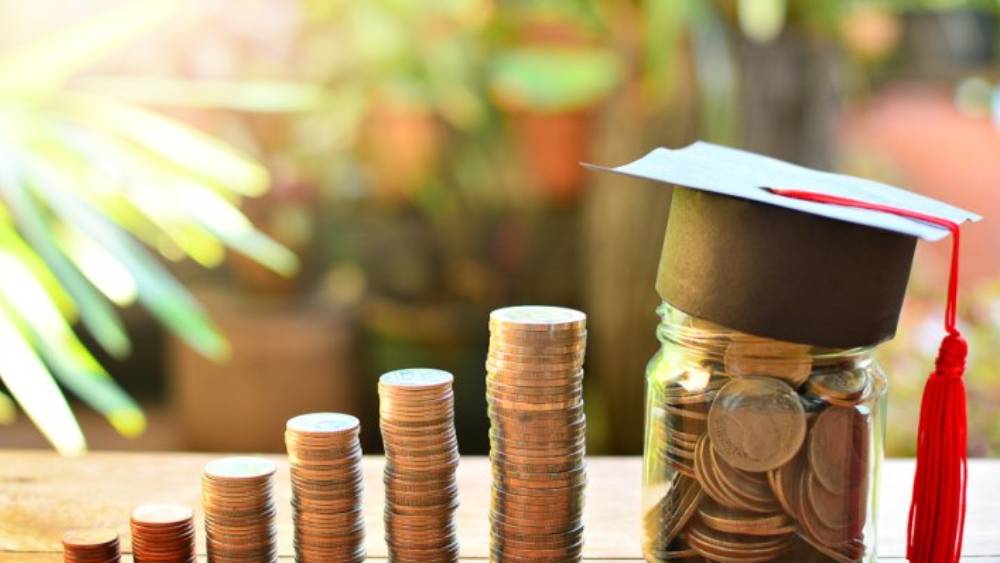 মনু জানিয়েছেন, আমেরিকায় যাওয়ার খরচ থেকে শুরু করে তাঁর আবেদন পত্র, পরীক্ষার খরচ সবই নিজের স্কলারশিপের টাকায় বহন করেছেন তিনি। এ ব্যাপারে তাঁকে সাহায্য করেছিলেন স্কুল কর্তৃপক্ষ।