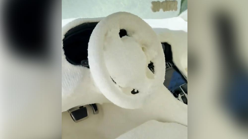 গাড়ির আসন থেকে শুরু করে স্টিয়ারিং— সব কিছুরই গায়ে চেপেছে পশমের জামা। এমনকি, গাড়ির চাকাকেও পশমের পোশাক পরিয়েছেন কিম।