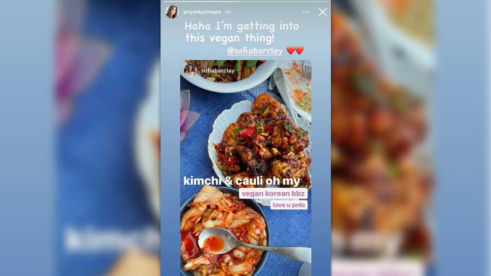 ভিগান খাবারের এমনই ছবি নেটমাধ্যমে দেখালেন অভিনেত্রী। 