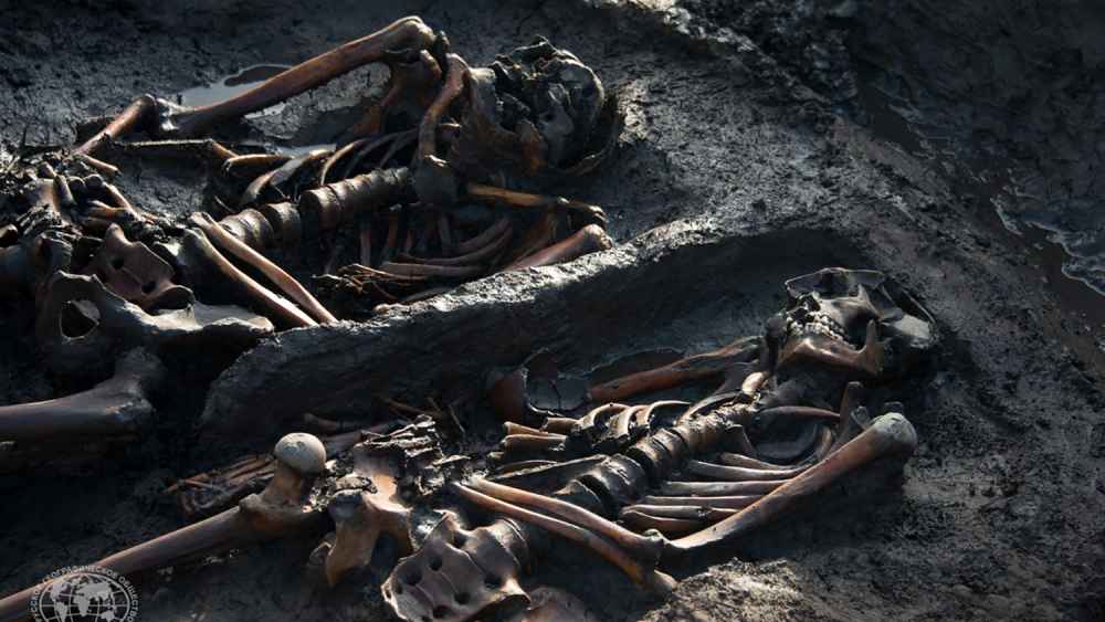 এ জন্য ৩০০০ বছরের পুরনো ওই যোদ্ধাদের দেহাবশেষ থেকে সংগৃহীত ডিএনএ নিয়ে গবেষণার কাজও শুরু হয়ে গিয়েছে ইতিমধ্যেই।