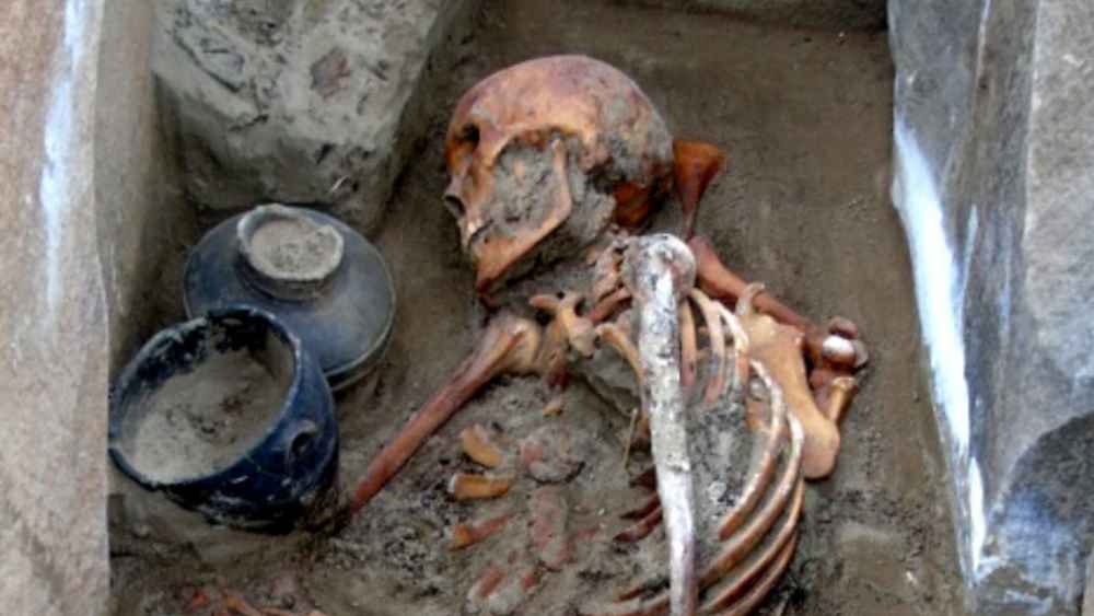 এপ্রিলের মাঝামাঝি রাশিয়ার জিওগ্রাফিকাল সেসাইটির একটি অনুষ্ঠানে বক্তৃতা দিচ্ছিলেন সেরগেই। সেখানে তিনি এই সিথিয়ান প্রজাতির কবরের প্রসঙ্গ তোলেন। সেরগেই বলেছিলেন, ‘‘সাইবেরিয়ার তুন্দ্রা থেকে পাওয়া সিথিয়ান যোদ্ধাদের ডিএনএ থেকে কিছু একটা বানানো যাবে বলে আশা করছি। তা ডলি দ্য শিপের চেয়ে ভাল কিছুই হবে হয়তো।’’