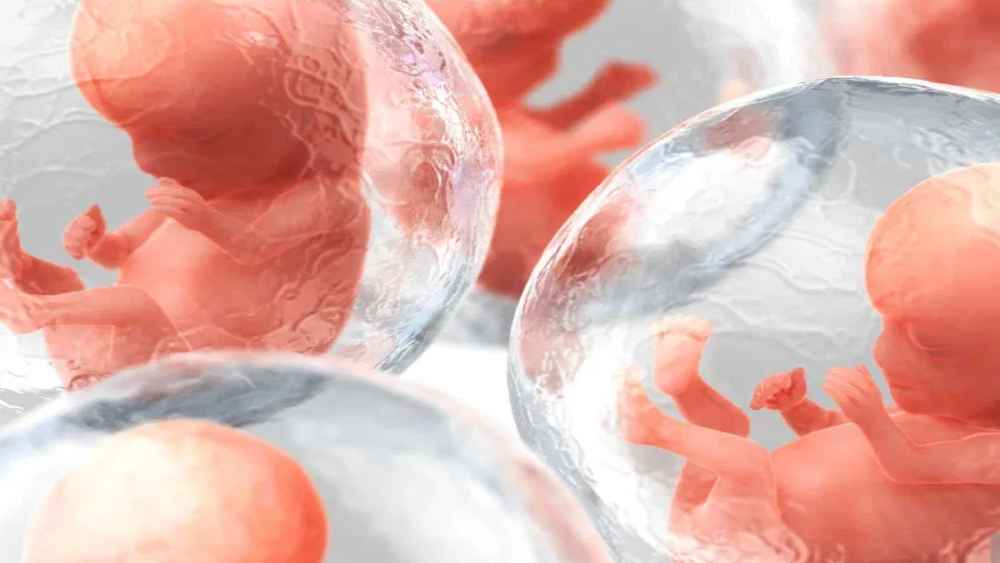 সেরগেই স্পষ্ট ইঙ্গিত দিয়েছিলেন, ওই যোদ্ধাদের দেহাবশেষ থেকে এমন কিছু জৈব কোষের সন্ধান পাওয়া গিয়েছে, যা তাঁদের ক্লোন বানানোর জন্য কাজে লাগানো যেতে পারে।