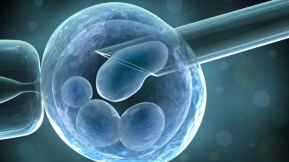 সাধারণত ক্লোন তৈরির জন্য পুরনো কোষ থেকে নতুন কোষে নিউক্লিয়াস স্থানান্তর করার প্রয়োজন হয়। তার জন্য প্রথমে নতুন কোষের নিউক্লিয়াসটিকে সরাতে হয়। মানব কোষের দু’টি অত্যন্ত প্রয়োজনীয় প্রোটিনকে অক্ষত রেখে সম্পূর্ণ করতে হয় এই প্রক্রিয়া। কিন্তু মুশকিল হল এই দুই প্রোটিন নিউক্লিয়াসের এত কাছে থাকে যে, তাদের ক্ষতি না করে নিউক্লিয়াসটিকে সরানো যায় না। এই সমস্যার কারণেই আজ পর্যন্ত মানুষের ক্লোন তৈরি করা যায়নি।