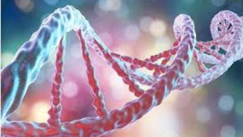 এ ছাড়াও মানুষের ক্লোন বানানো আইনত বৈধ নয়। সেরগেইয়ের প্রস্তাবের কথা ছড়িয়ে পড়ার পর তাই তা বিস্মিত করেছে বিজ্ঞানীদের।