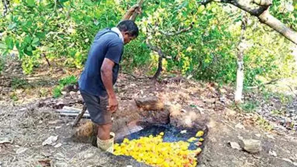 সংস্কৃত শব্দ ‘ফেনা’ থেকে ‘ফেনি’ শব্দটি এসেছে। ফেনার অনুসঙ্গ এসেছে, কারণ পানীয় গ্লাসে ঢালার সময়, বা পানীয় ভরা বোতলের মুখ খোলার সময় ঝাঁকুনিতে ফেনা হয়।