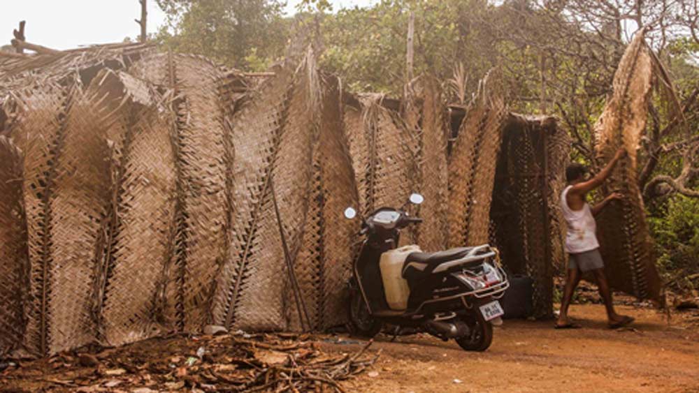 মূলত পুরনো পদ্ধতি অনুসরণ করে পা দিয়েই কাজুর রস বার করেন তাঁরা। প্রথমে একটি বড় পাত্রে কাজুগুলিকে রাখেন। তারপর পা দিয়ে পিষে সেগুলি থেকে রস বার করেন।