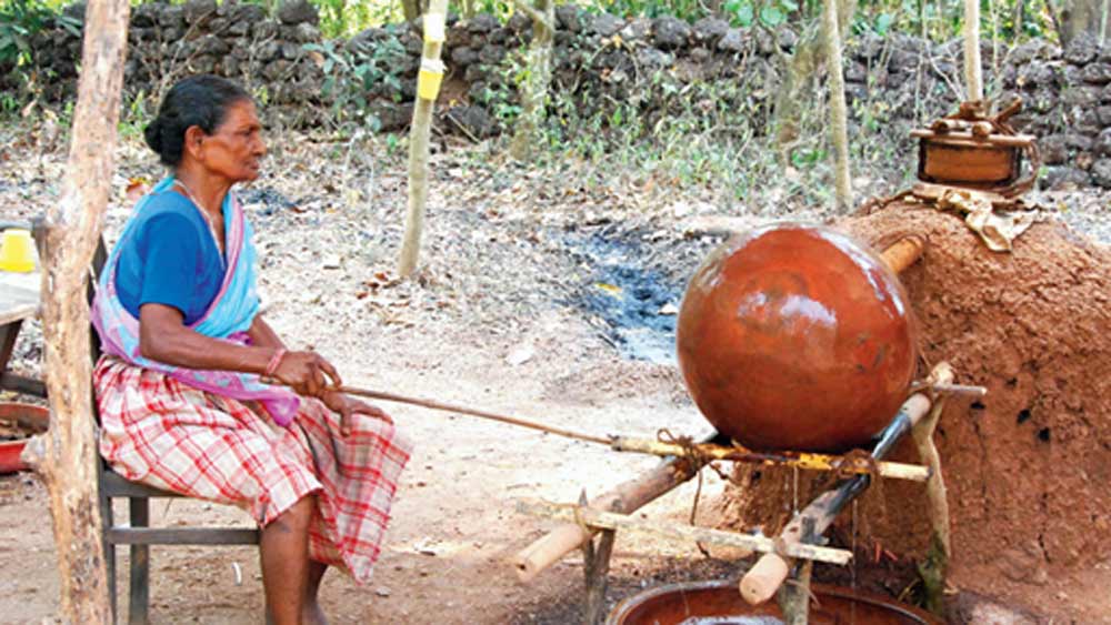 উপার্জন কম, গোয়ার বাইরে এর চাহিদা এখনও তেমন নেই। তা সত্ত্বেও শুধুমাত্র বংশের পরম্পরা রক্ষার তাগিদেই ৫০০ বছর ধরে ফেনি বানিয়েই সংসার চলছে এই পরিবারের।