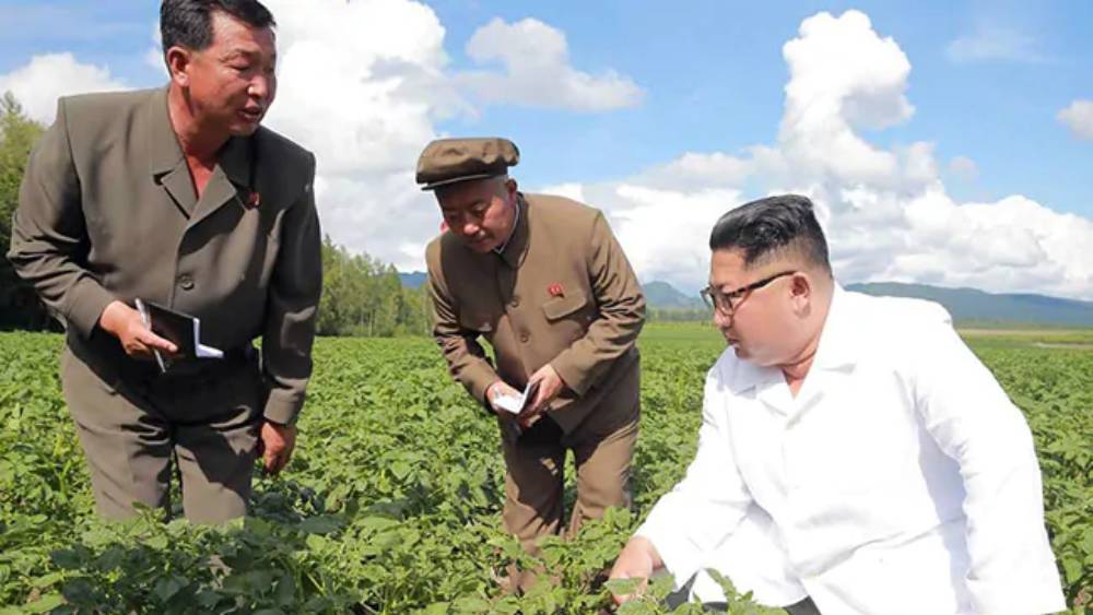 সেই রিপোর্টের পর মাস কয়েক কেটে গিয়েছে। বিশেষজ্ঞদের আশঙ্কা এর মধ্যে খাদ্যের অভাব আরও বেড়েছে। কিম সেই আশঙ্কাতেই সিলমোহর দিলেন।