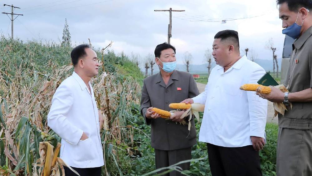 বৈঠকে দেশের খাদ্য সঙ্কটের কারণও ব্যাখ্যা করেছেন কিম। জানিয়েছেন, টাইফুন এবং বন্যায় চাষের জমির ক্ষতি হয়েছে। ফলে খাদ্যশস্যের যে বার্ষিক উৎপাদনের কোটা, তা এ বার পূরণ হয়নি।