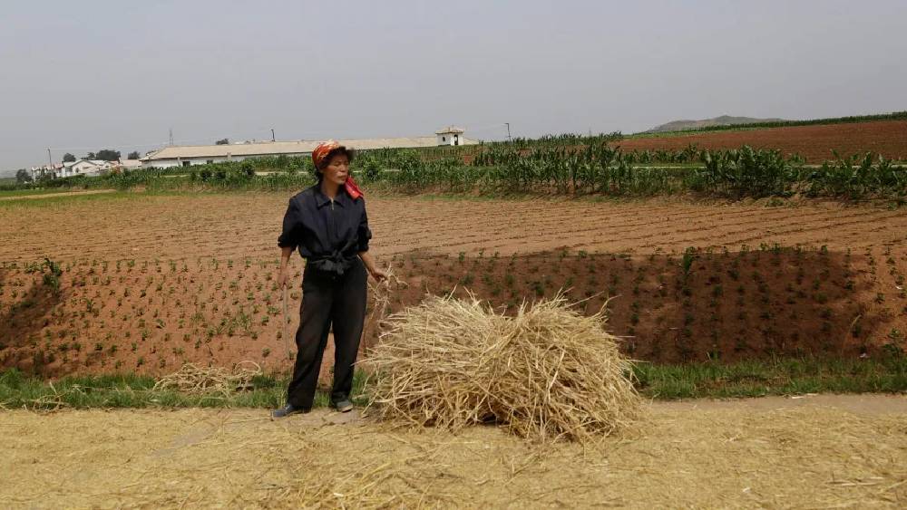 কিমের ওই নির্দেশে প্রমাদ গণেছিলেন বিশেষজ্ঞরা। ১৯৯০ সালে যখন উত্তর কোরিয়া চরম দুর্ভিক্ষের মধ্যে দিয়ে যাচ্ছে, তার আগে ঠিক এই একই কথা, একই শব্দ প্রয়োগ করে দেশবাসীকে সতর্ক করেছিলেন কোরিয়ার প্রশাসক।