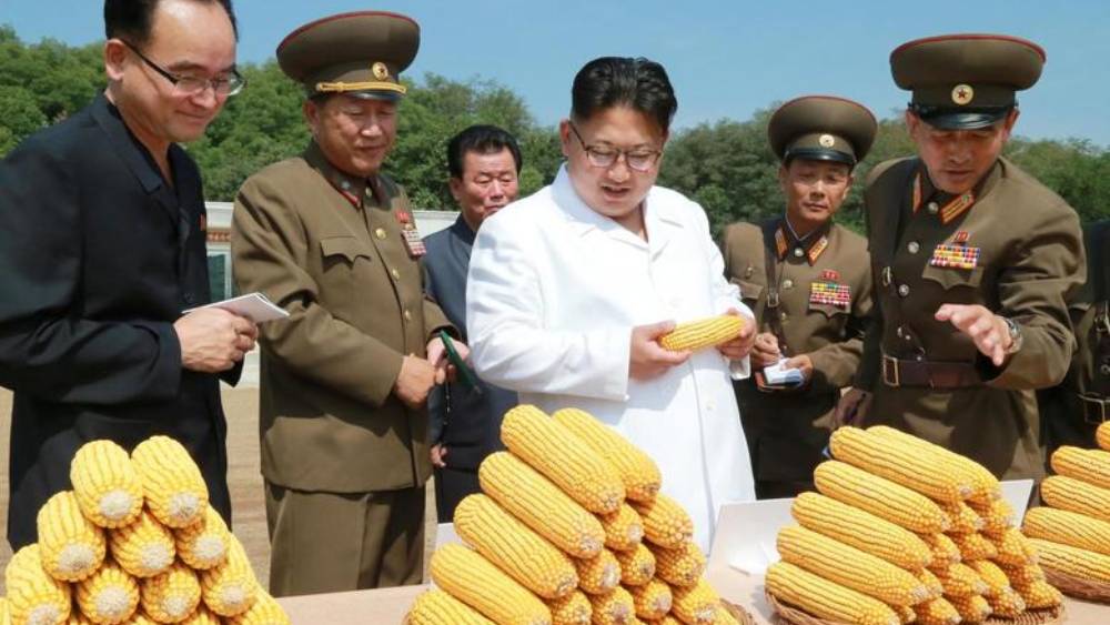 যে ভুট্টা ২৫ টাকা কেজি দরে বিক্রি হচ্ছে ভারতে, উত্তর কোরিয়ার মানুষ তা কিনছেন প্রতি কেজি ২০৫ টাকা দিয়ে।