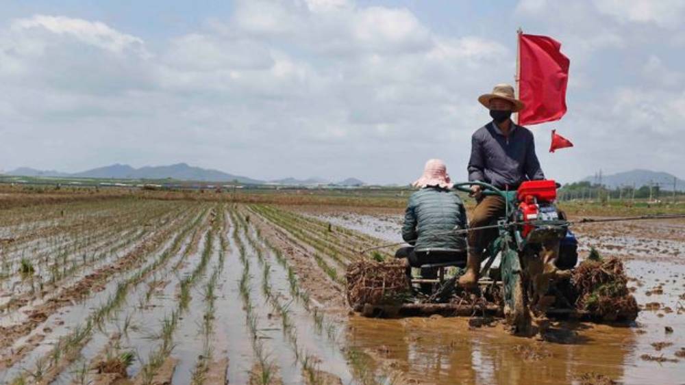 বন্ধ সীমান্তের জন্য কাজ করতে পারছে না স্বেচ্ছাসেবী সংগঠনগুলিও। এ ছাড়া কিমের পরমাণু সংক্রান্ত পরীক্ষা নিরীক্ষার কারণে উত্তর কোরিয়ার উপর আরোপিত অন্য বিধিনিষেধও রয়েছে।