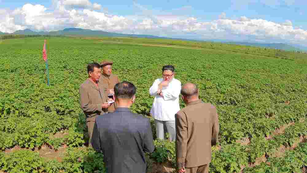 সারের অভাবে উত্তর কোরিয়ার কৃষি জমিগুলির অবস্থা এতটাই বেহাল যে, কিমের সরকার কৃষকদের প্রতি দিন ২ লিটার করে মূত্র দান করার নির্দেশ দিয়েছে। যাতে তা দিয়ে সার বানানো যেতে পারে।