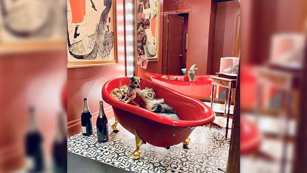 পোষ্যদের জন্যও আলাদা ঘর, এমনকি বাথরুমও আছে প্রিয়ঙ্কার।