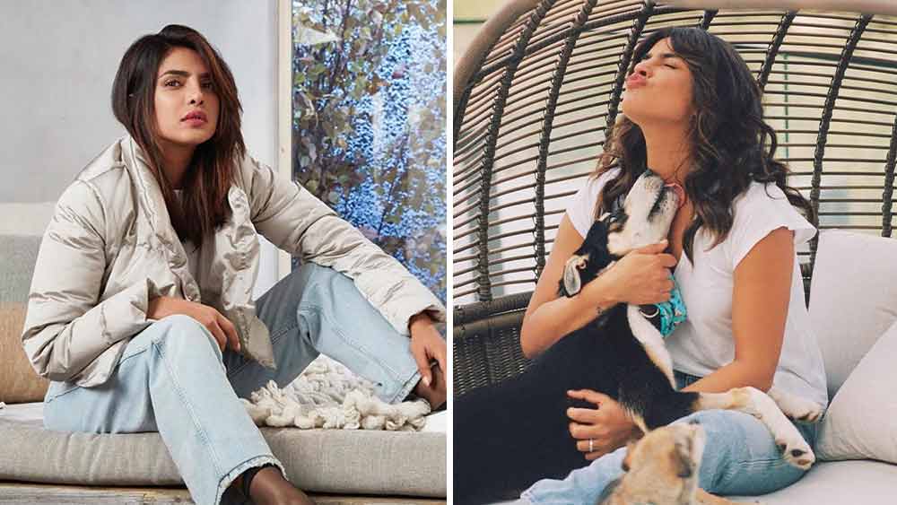 ঠিক কী রকম নিক-প্রিয়াঙ্কার বাড়ির অন্দর সজ্জা? কোথায় তাঁরা অবসর কাটান? কাজ করেন কোথা থেক? কোথায়ই বা শীতের দিনে রোদ পোহান? এক ঝলক দেখে নেওয়া যাক।