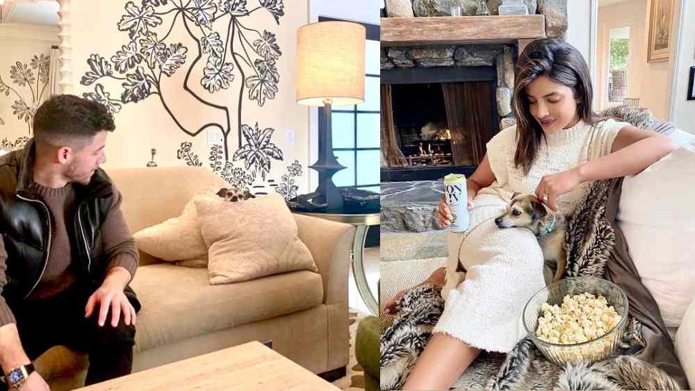 বিশাল বড় বসার ঘরটি প্রিয়ঙ্কার পছন্দের অবসর কাটানোর জায়গা। কিছু দিন আগে ঘের এক কোণে সোফায় বসে পপকর্ন খাওয়ার ছবি দিয়েছিলেন। পিছনে ছিল একটি পুরনো ফায়ারপ্লেস। আর কোলে ছিল ডায়না।