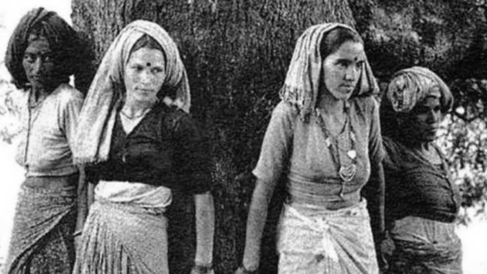 গাছ বাঁচাতে নিজের জীবনের কথা ভাবেননি সুন্দরলাল বহুগুণা। গাছকে জড়িয়ে থেকে গাছের প্রাণ বাঁচিয়েছিলেন তিনি এবং তাঁর অনুগামীরা। উত্তরাখণ্ডের সেই আন্দোলন নজর কেড়েছিল সারা বিশ্বের। ১৯৭৩ সালের এই আন্দোলন ‘চিপকো আন্দোলন’ নামে পরিচিত।