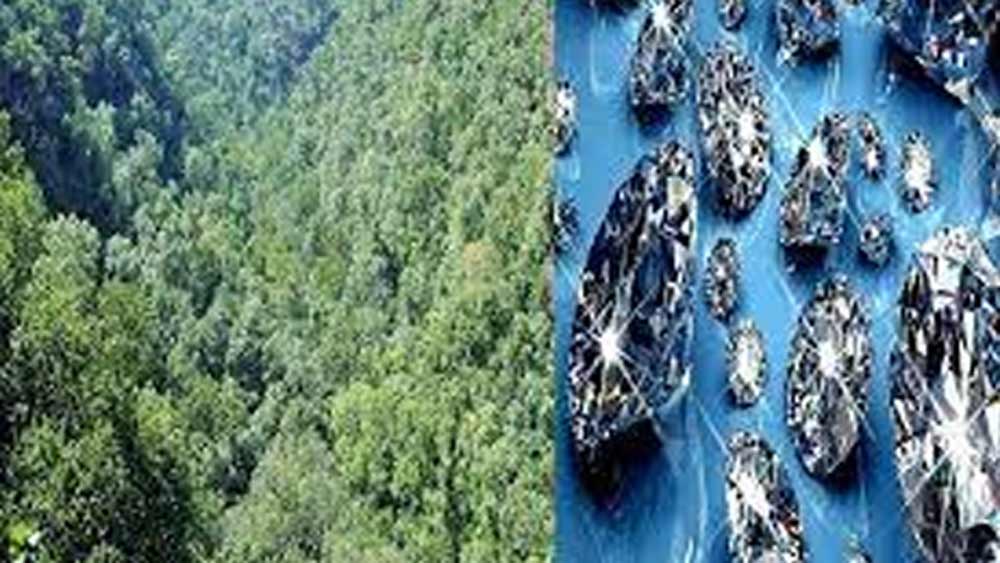 অন্ধ্রপ্রদেশ, ছত্তীসগঢ় এবং মধ্যপ্রদেশ— দেশের এই তিন রাজ্যেই হিরে উত্তোলন হয়। যার মধ্যে দেশের ৯০ শতাংশ হিরে মধ্যপ্রদেশ থেকেই সরবরাহ হয়। সেই সরবরাহ শতাংশে মধ্যপ্রদেশ আরও এক ধাপ এগোবে কি না তা নির্ভর করে রয়েছে বক্সওয়াহা জঙ্গলের উপর।