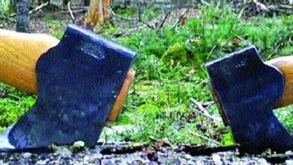 সরকারের তরফে স্থানীয় মানুষকে কর্মসংস্থানের প্রতিশ্রুতি দেওয়া হয়েছিল বটে। কিন্তু খনি শ্রমিক হিসাবে কাজ করতে রাজি হননি কেউই। এই অরণ্য অত্যন্ত গুরুত্বপূর্ণ প্রাকৃতিক সম্পদ। তার সম্পদ সবার জন্যই জীবনদায়ী। স্থানীয় আদিবাসী সম্প্রদায় এই জঙ্গলের উপর পুরোপুরি নির্ভরশীল।