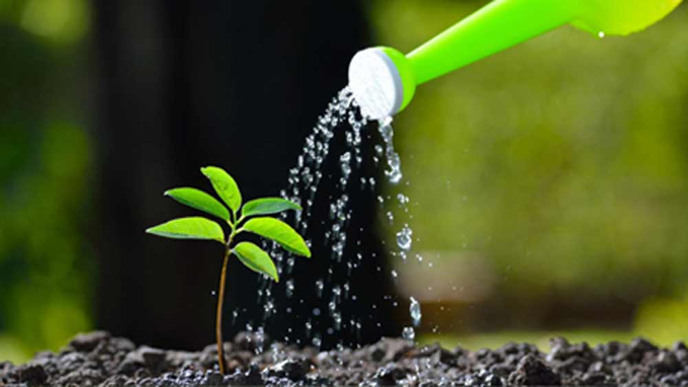 এর জন্য টেন্ডার ডাকে মধ্যপ্রদেশ সরকার। আদিত্য বিড়লা গ্রুপ, আদানি গ্রুপ, বেদান্ত গ্রুপ তাতে অংশ নেয়। টেন্ডার পায় আদিত্য বিড়লা গ্রুপ। ৫০ বছরের লিজে ৩৬৪ হেক্টর জমি তাদের দেয় সরকার। নতুন চুক্তি অনুসারে, যে পরিমাণ লাভ হবে তার ৫৮ শতাংশ পাবে আদিত্য বিড়লা গ্রুপ এবং বাকি ৪২ শতাংশ আসবে মধ্যপ্রদেশ সরকারের কোষাগারে।