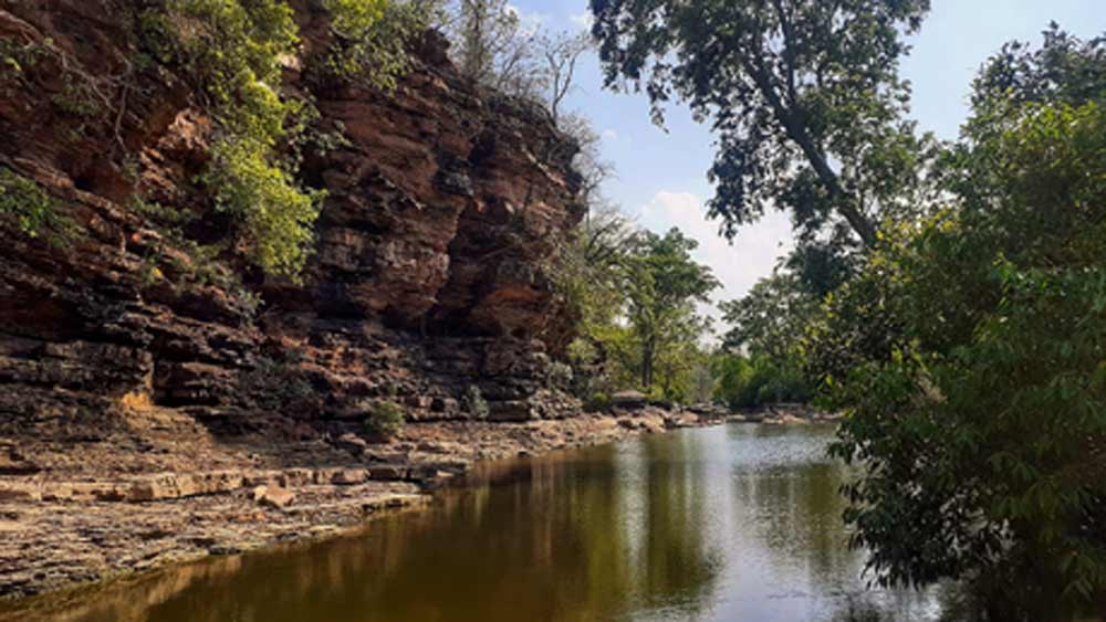 ন্যাশনাল টাইগার কনজারভেশন অথরিটিও একই রিপোর্ট দেয়। সব দিক খতিয়ে দেখে শেষমেশ মধ্যপ্রদেশ সরকার পিছিয়ে আসে। রিও-টিন্টো সংস্থাকে দেওয়া অনুমতি নাকচ করে দেয়। সে সময় মধ্যপ্রদেশে ক্ষমতায় ছিলেন বিজেপি সমর্থিত শিবরাজ সিংহ চৌহান।