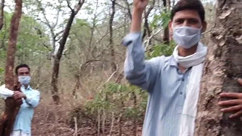 শেহলার মৃত্যুর সঙ্গে এই আন্দোলন আরও বড় আকার ধারণ করে। স্থানীয় বাসিন্দা, বিভিন্ন সমাজসেবী সংস্থা এই আন্দোলনে যোগ দেয়। ২০১৬ সালে ফরেস্ট অ্যাডভাইসরি কমিটি ঘোষণা করে, এই অঞ্চলে হিরে উত্তোলন করা যাবে না কারণ পাশাপাশি দুই জঙ্গলের করিডর এটি। ফলে এক জঙ্গল থেকে অন্য জঙ্গলে প্রবেশ করার জন্য বন্যপ্রাণীদের এটিই সবচেয়ে ব্যস্ত রাস্তা।