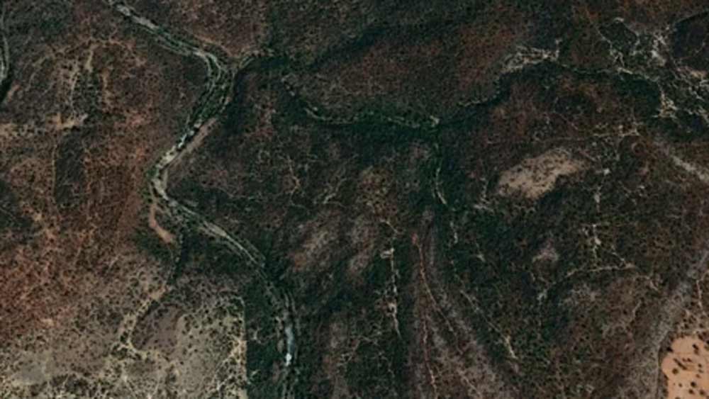 সবচেয়ে উদ্বেগের বিষয় ছিল, বক্সওয়াহার জঙ্গলের কাছেই রয়েছে পান্না জাতীয় উদ্যান। যা বাঘ সংরক্ষণ প্রকল্পের জন্যও পরিচিত। আর হিরে উত্তোলনের ওই অংশ বাঘেদের করিডর। এত পরিমাণ গাছ কাটা হলে তার ব্যাপক প্রভাব জীববৈচিত্রের উপর পড়বে বলে সতর্ক করেছিলেন পরিবেশবিদরা।