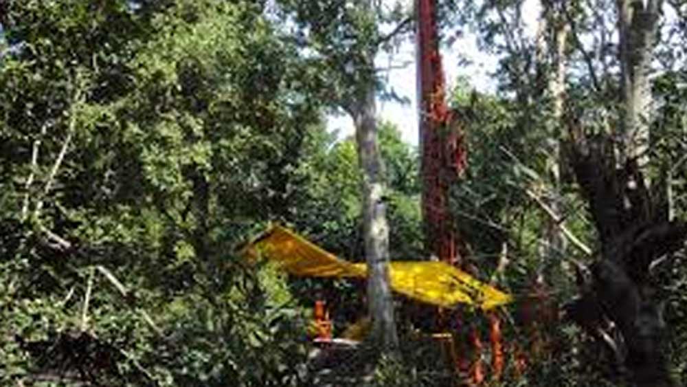 এই প্রকল্পের নাম দেওয়া হয় বান্দর প্রকল্প। ওই এলাকায় প্রচুর পরিমাণ বাঁদর থাকার জন্যই এমন নামকরণ। সংস্থার অনুমান ছিল, এখান থেকে অন্তত পৌনে ৩ লক্ষ ক্যারাট হিরে পাওয়া যাবে।