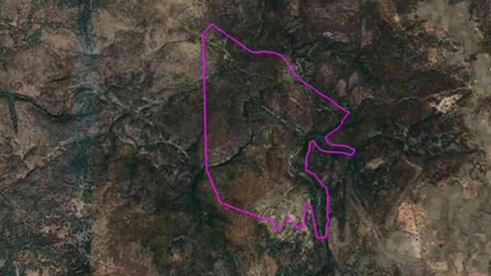 দিল্লি থেকে ৬৫০ কিলোমিটার দূরে মধ্যপ্রদেশের ছতরপুর জেলায় বক্সওয়াহা জঙ্গল রয়েছে। ২০১১-এর জনগণনা অনুযায়ী এখানে মোট জনসংখ্যা ১০ হাজার। হিরে উত্তোলন নিয়ে এই বিবাদ শুরু হয়েছিল ২০০৪ সালে।