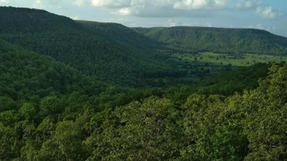 এই বিবাদের সূত্রপাত ২০০৪ সাল থেকে। আন্দোলনকারীদের মতে বিভিন্ন সময়ে এর সঙ্গে বিজেপি এবং কংগ্রেস- এই দুই রাজনৈতিক দলই যুক্ত রয়েছে। আন্দোলনকারীরা এই দুই রাজনৈতিক দলের উপরই সমান দোষারোপ করে থাকেন।