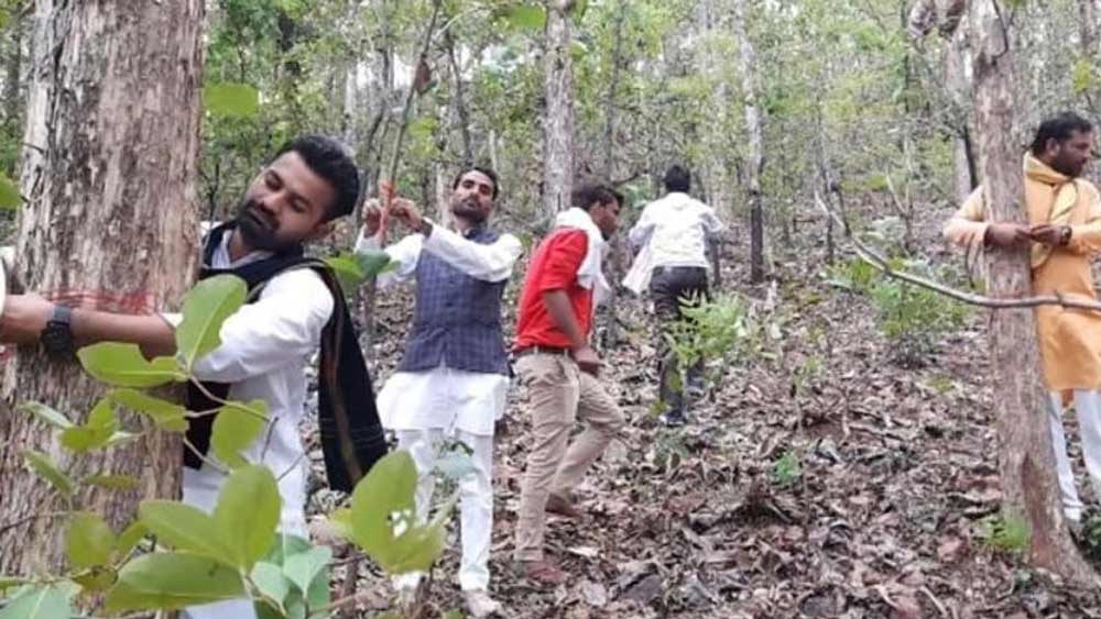 ফের এক বার গাছ বাঁচানোর মরিয়া আন্দোলন চাক্ষুষ করছে সারা দেশ। গত ১৭ বছর ধরে মধ্যপ্রদেশে জঙ্গল বাঁচানোর আপ্রাণ চেষ্টা চালিয়ে যাচ্ছেন পরিবেশপ্রেমী এবং সেই অঞ্চলের স্থানীয় বাসিন্দারা। সম্প্রতি হিরে উত্তোলনকে কেন্দ্র করে মধ্যপ্রদেশের ছতরপুর জেলা খবরের শিরোনামে উঠে এসেছে।